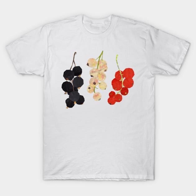 Currants - trio T-Shirt by Babban Gaelg